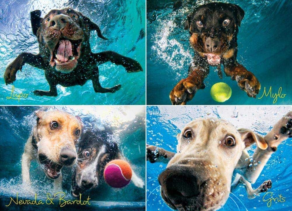 Underwater Dogs:  Splash Dogs Jigsaw Puzzle