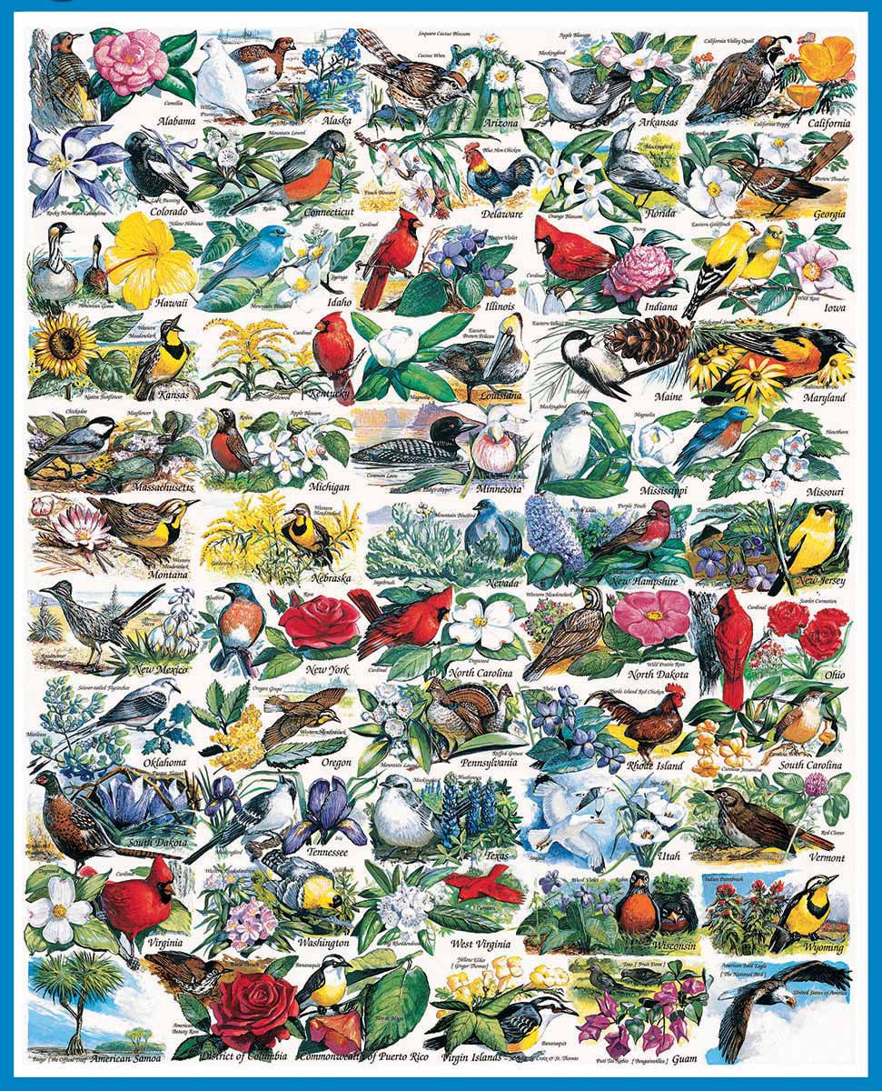 State Birds & Flowers Birds