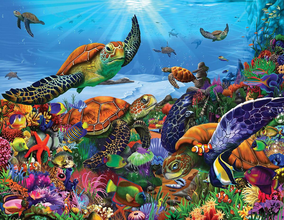Amazing Sea Turtles Sea Life
