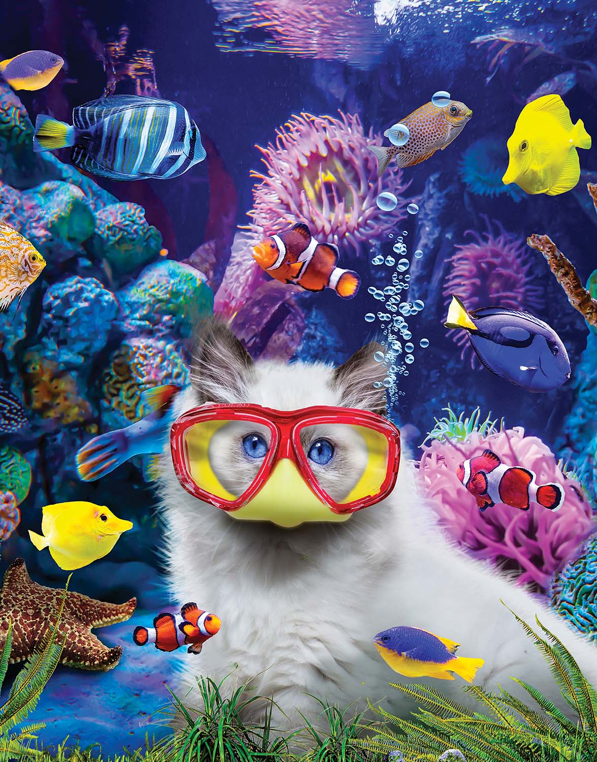 Kitten in a Fish Tank Cats Jigsaw Puzzle