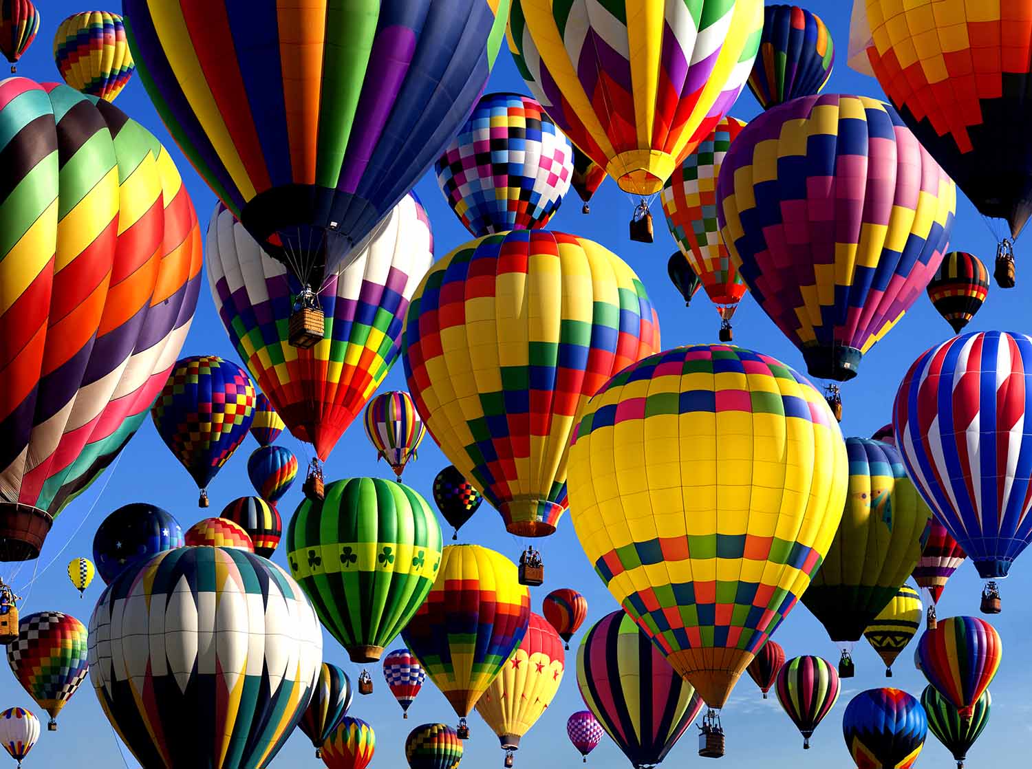 Hot Air Balloons in New Jersey Hot Air Balloon Jigsaw Puzzle