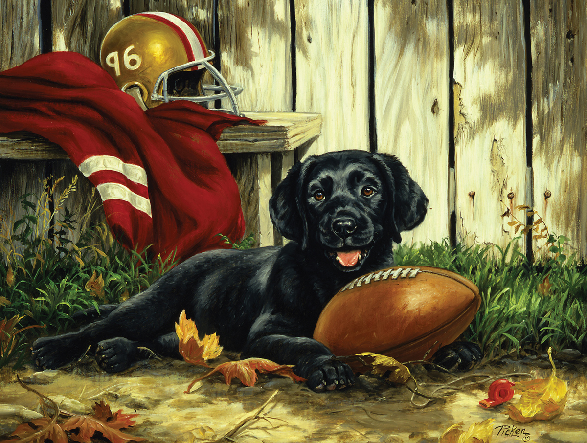 Possession of the Ball Dogs Jigsaw Puzzle