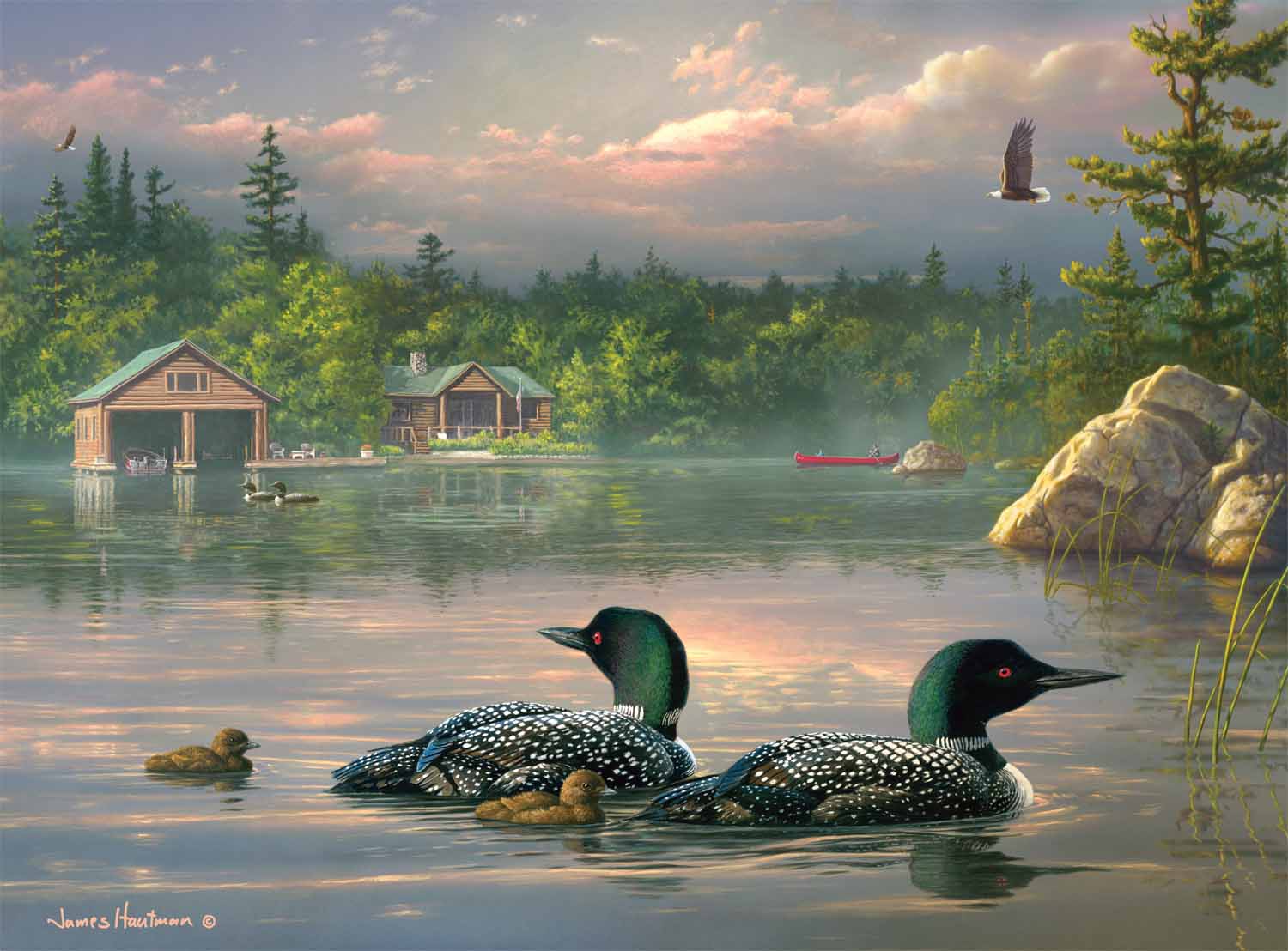 Passing Storm Loons Birds Jigsaw Puzzle