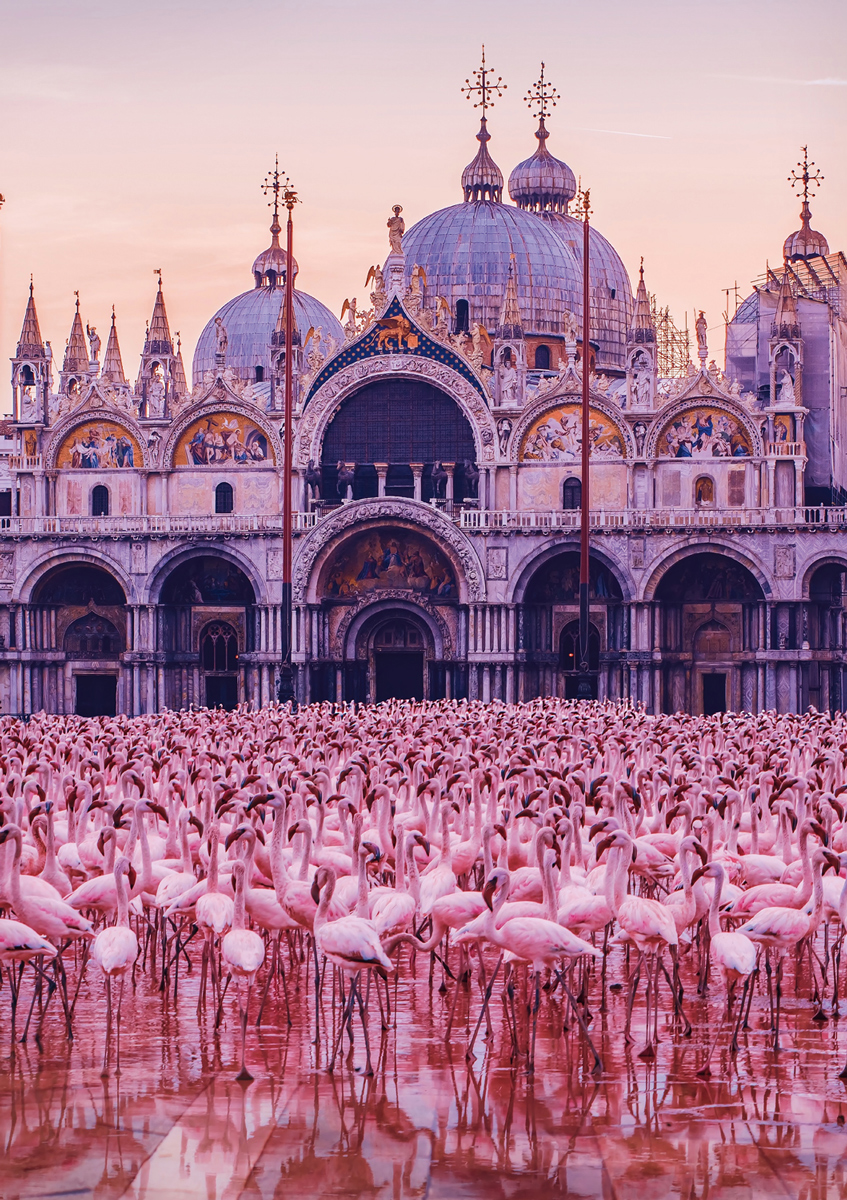 BLANC Series: Pink Flamingo Palace - Scratch and Dent Castle Jigsaw Puzzle