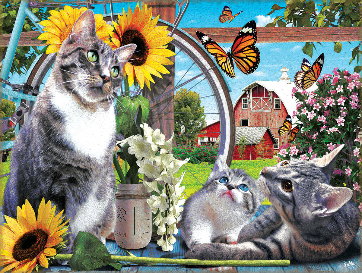 Out of Reach Cats