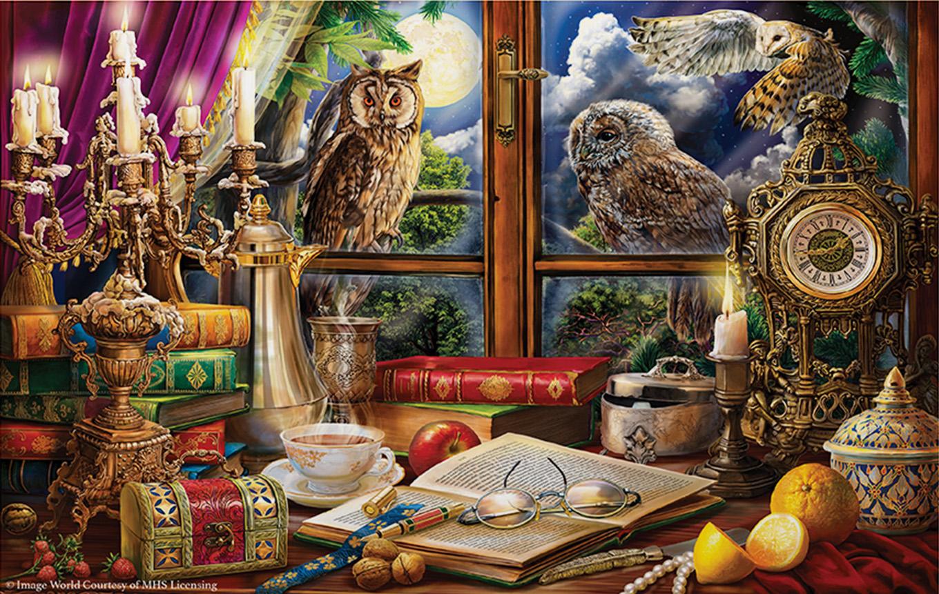 Evening with Owls 550 Pieces SunsOut Puzzle Warehouse