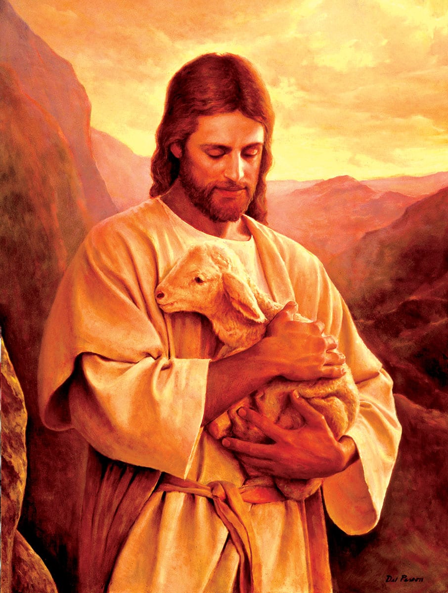 Lost Lamb Religious