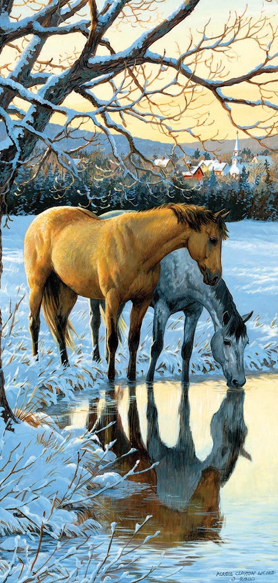Reflections - Scratch and Dent Horse Jigsaw Puzzle