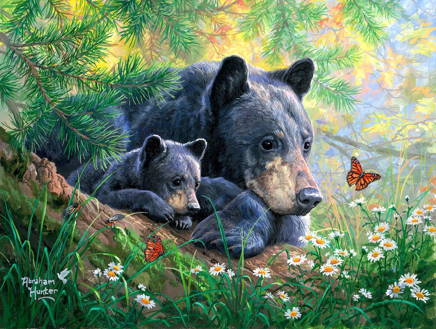 Moment of Wonder Bear