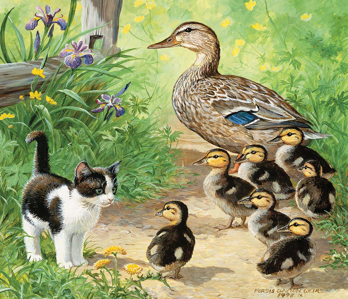 Ducks and Friend - Scratch and Dent Cats Jigsaw Puzzle