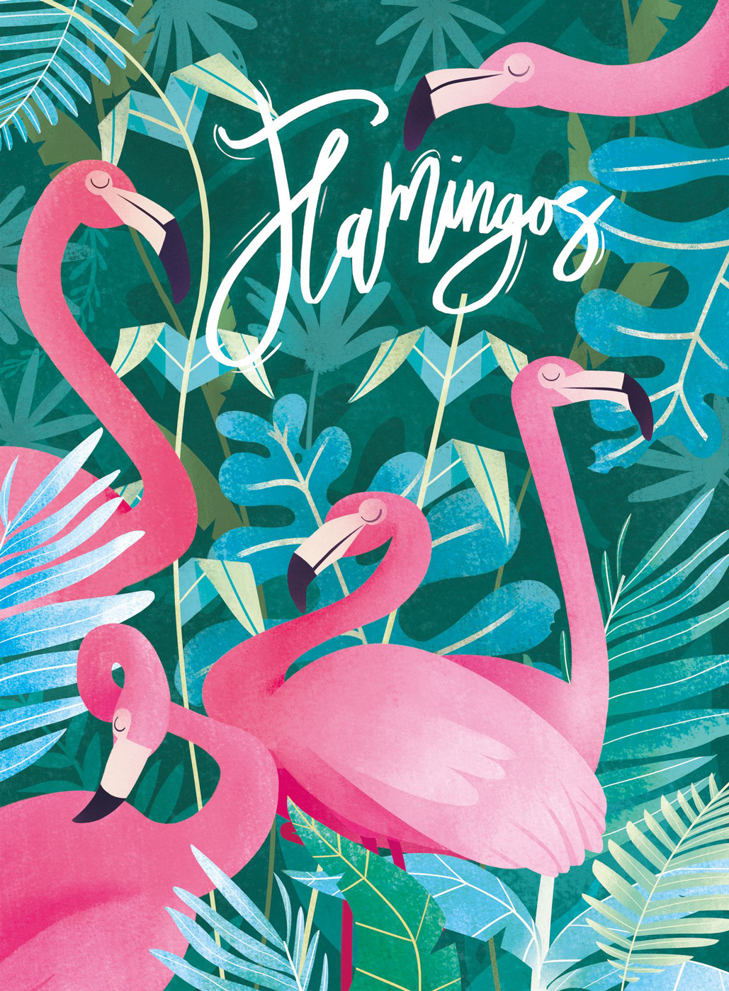 Fantastic Animal - Flamingos Birds Jigsaw Puzzle