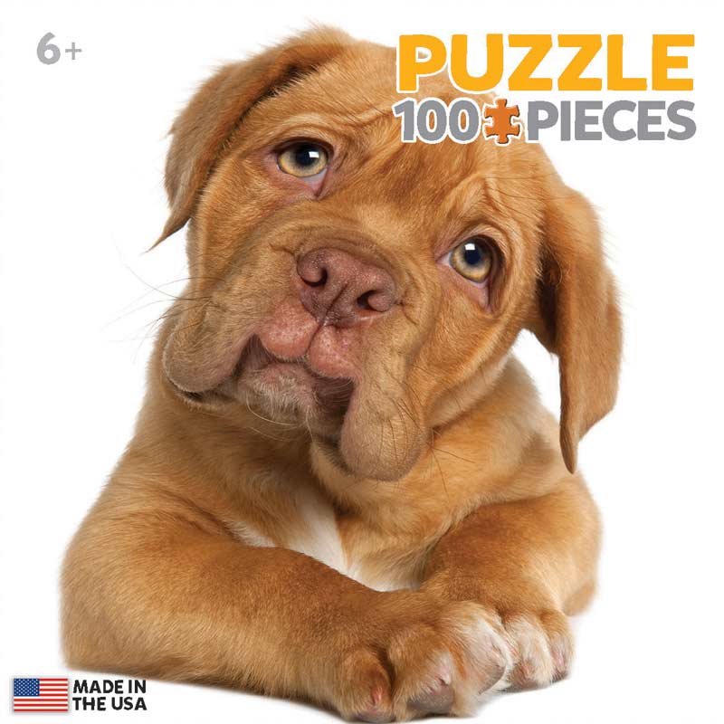 Puppy - Scratch and Dent Dogs Jigsaw Puzzle