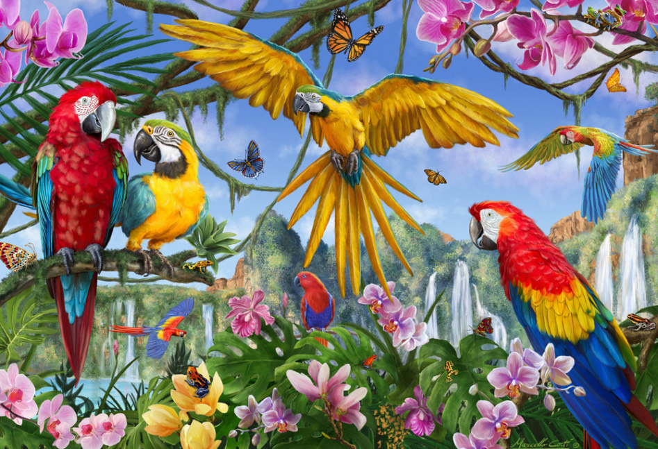 Tropical Birds - Scratch and Dent Birds Jigsaw Puzzle