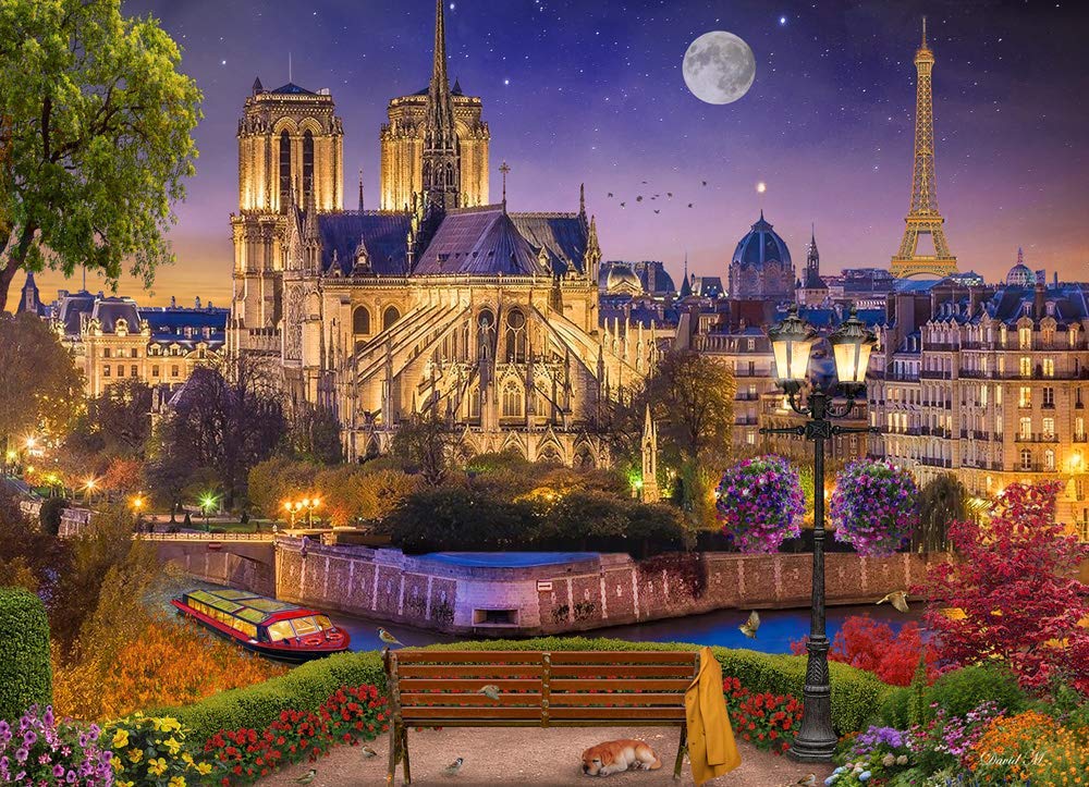 Notre Dame Night - Scratch and Dent Paris & France Jigsaw Puzzle