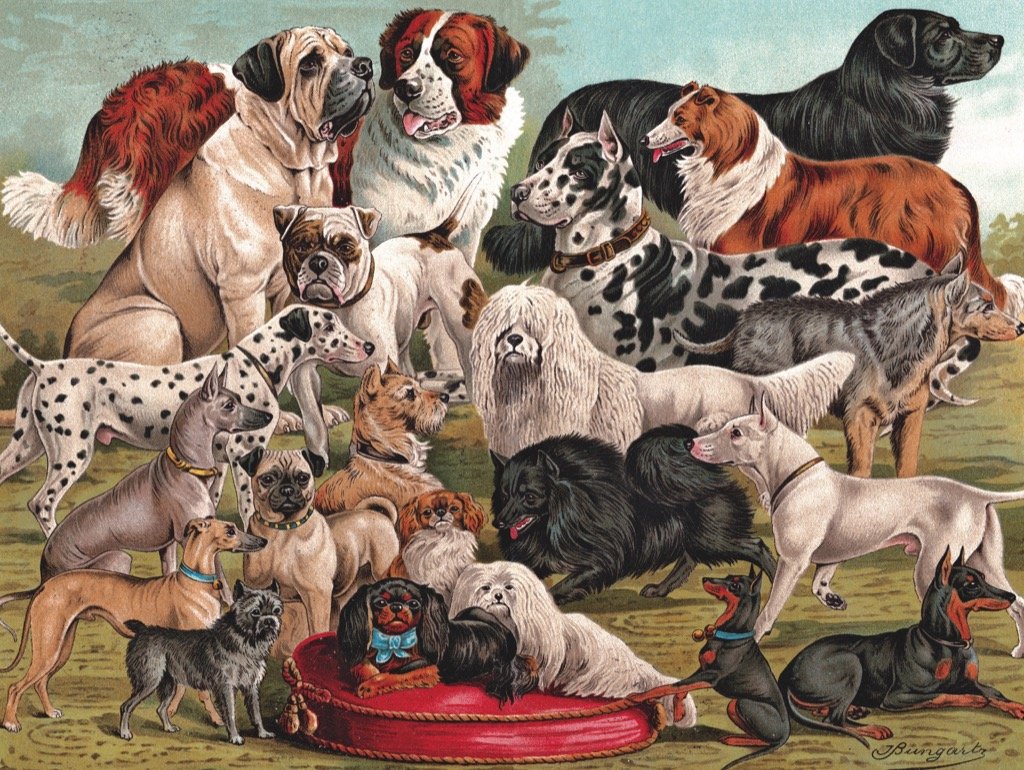 Dog Love Dogs Jigsaw Puzzle By Lucky Puzzles