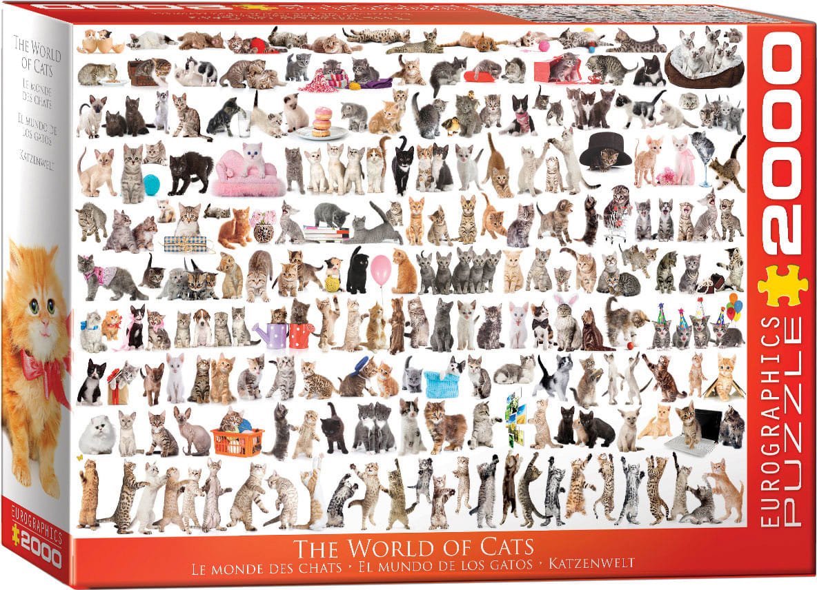 The World of Cats Animals