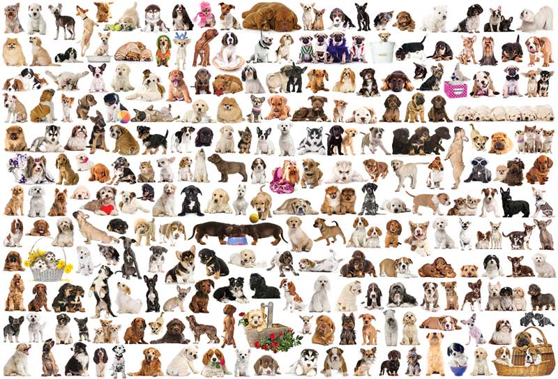 The World of Dogs - Scratch and Dent Dogs Jigsaw Puzzle