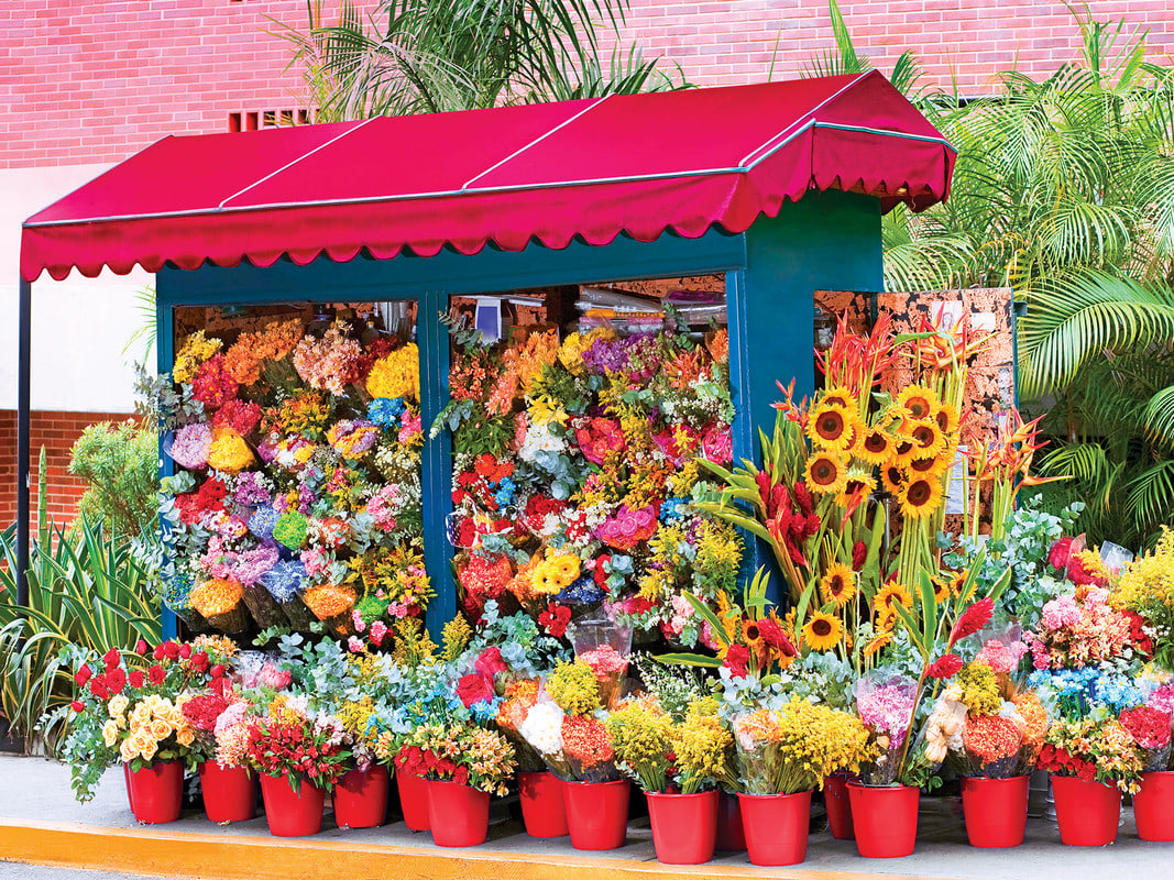 Kodak 550 - Side Street Colorful Flower Market - 550 Piece