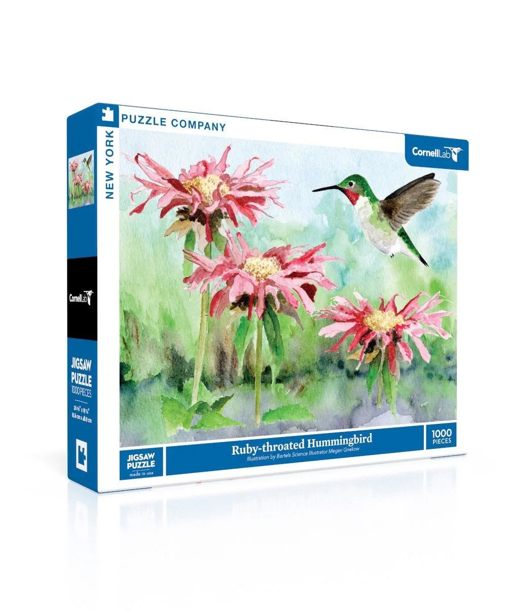 Ruby-throated Hummingbird Birds