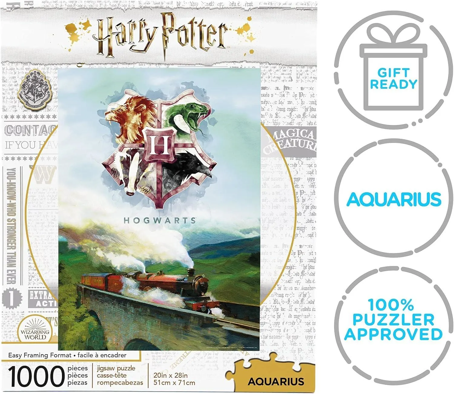 Harry Potter Express Fantasy