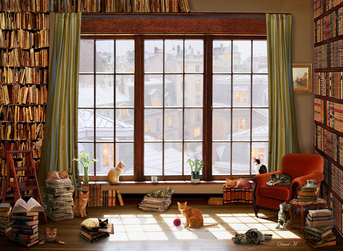 Window Cats Cats Jigsaw Puzzle