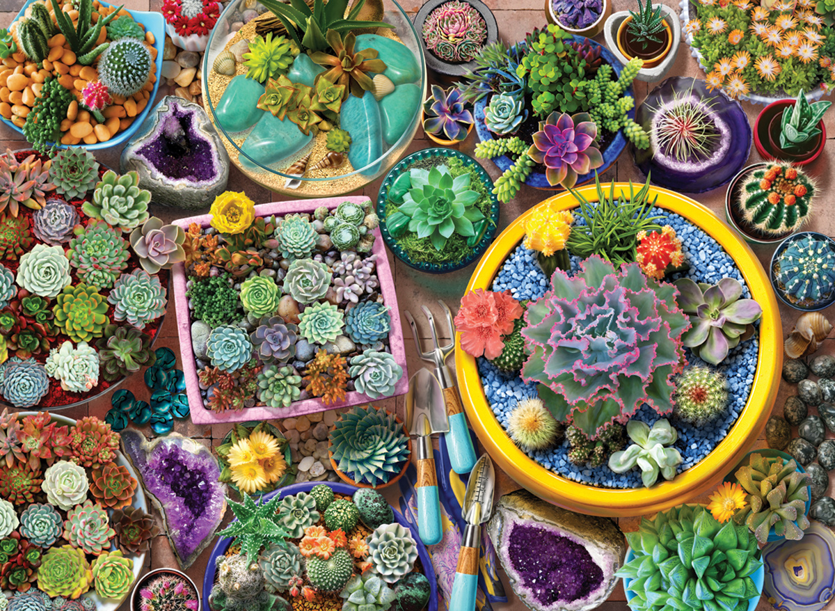 Cacti Pots - Scratch and Dent Jigsaw Puzzle
