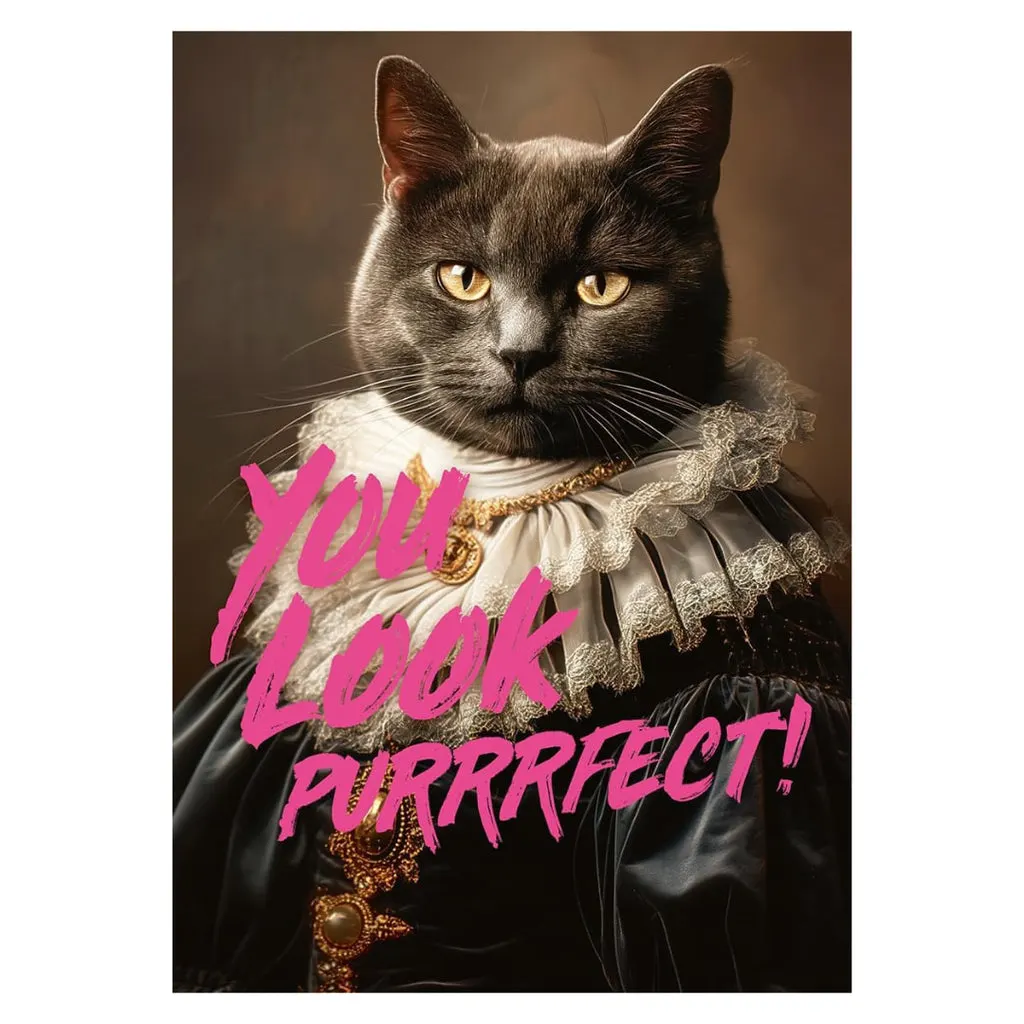 You Look Purrrfect! Cats