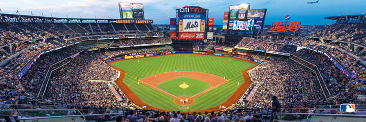 New York Mets Sports