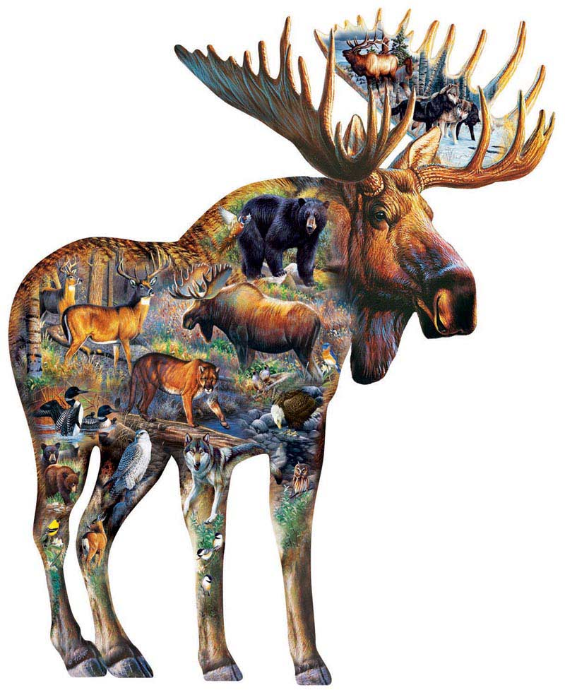 Walk on the Wild Side Animals