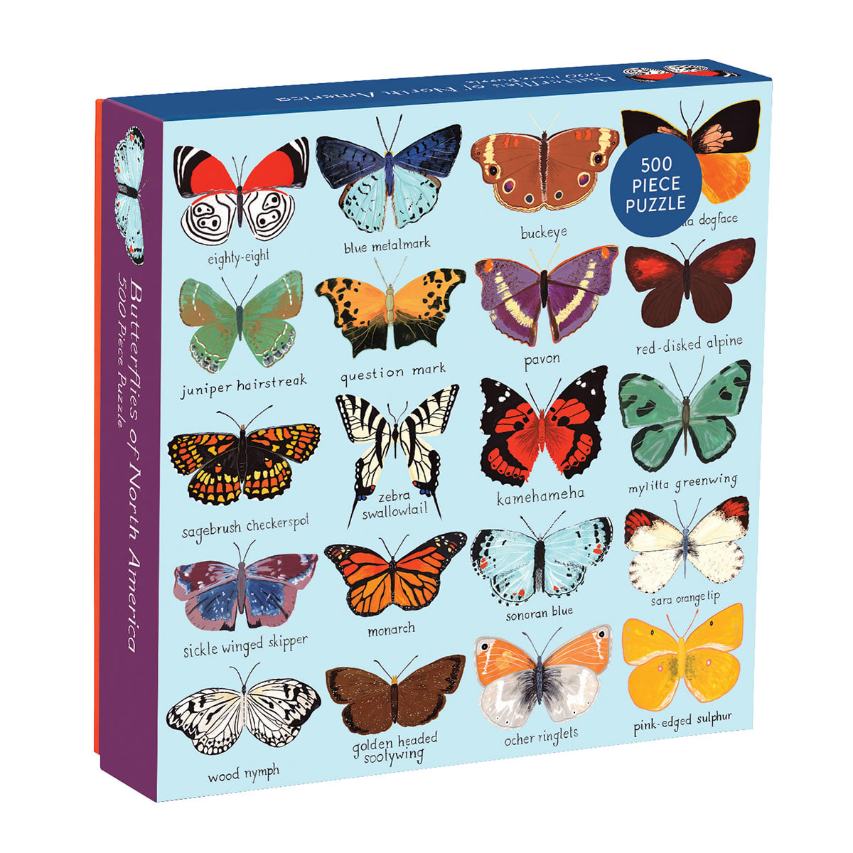 Butterflies of North America Butterflies and Insects