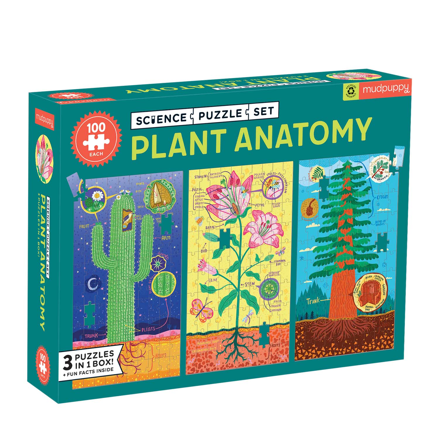 Puz Set Plant Anatomy Flower & Garden Jigsaw Puzzle