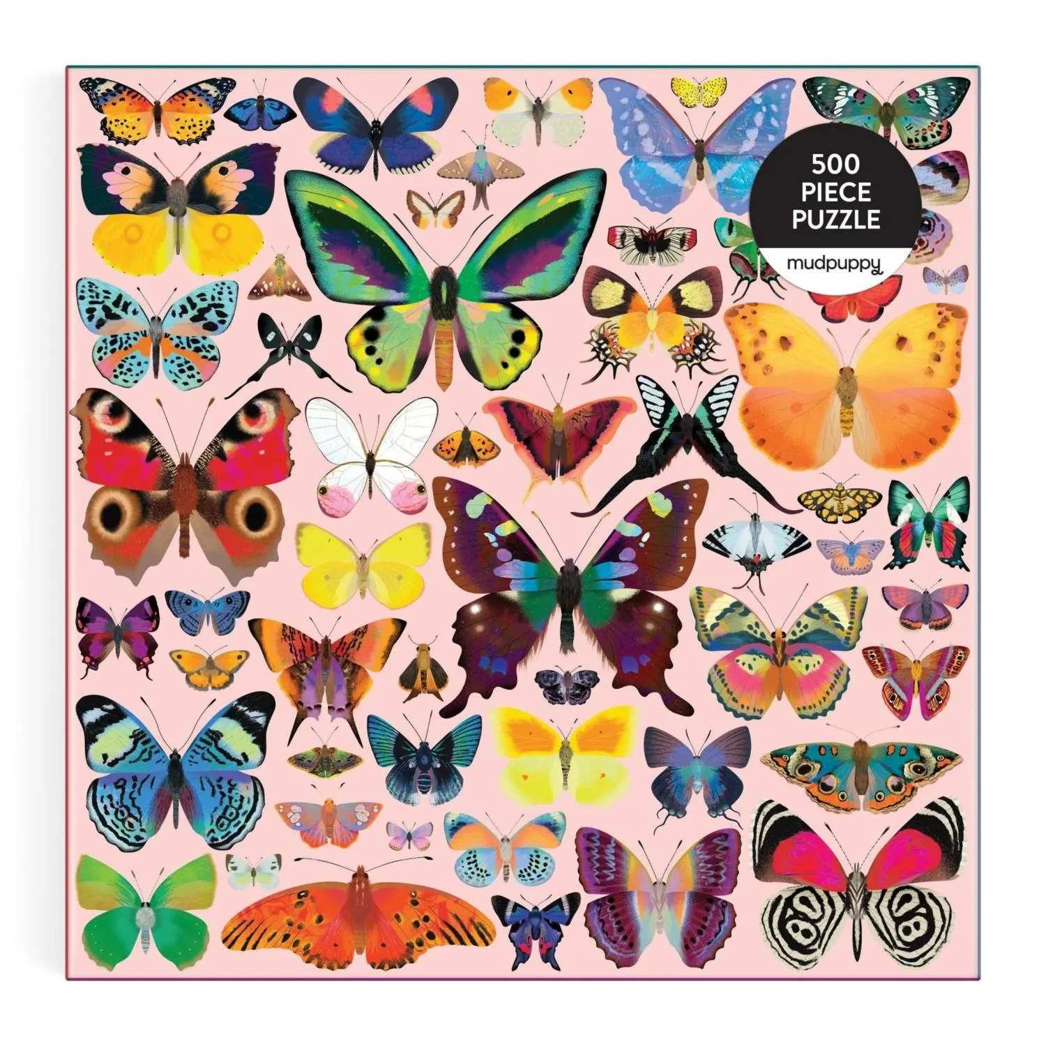 Brilliant Butterflies Butterflies and Insects