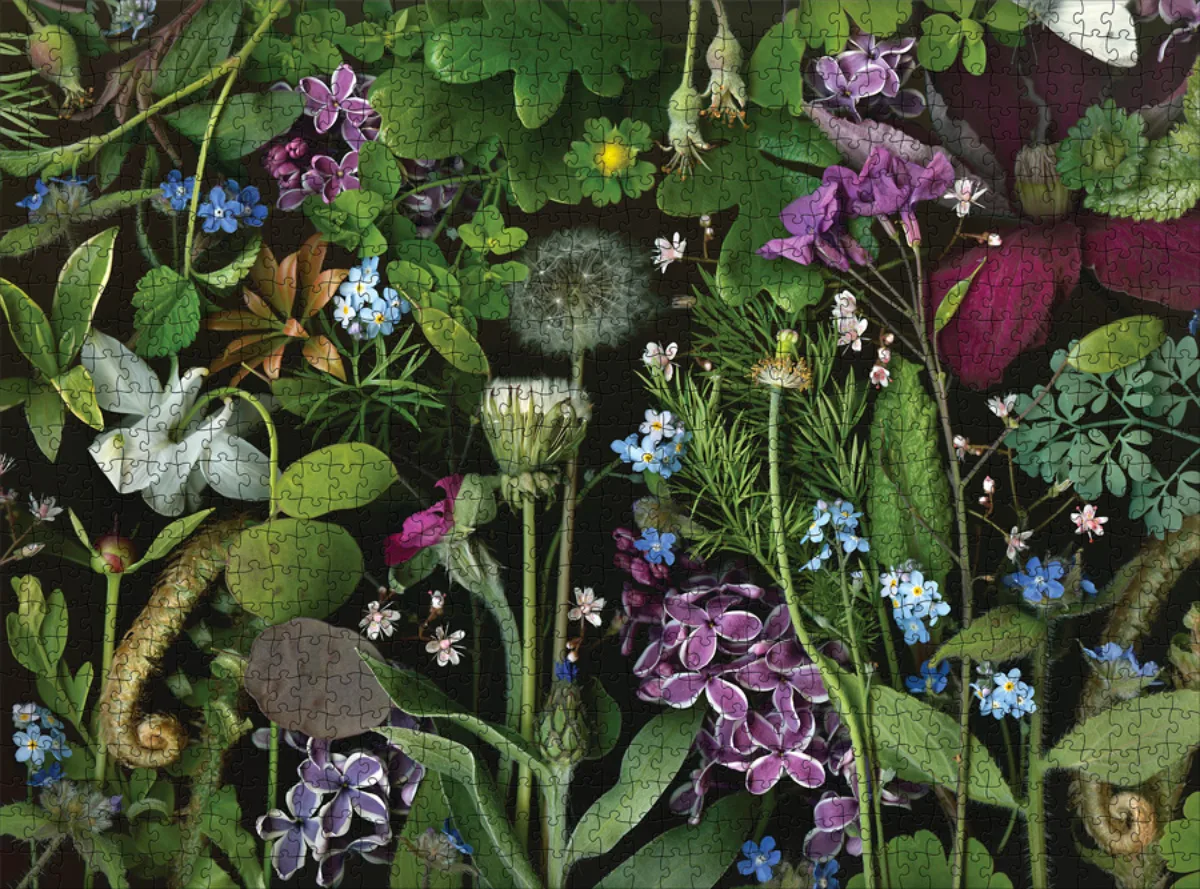 Siri's Lilac Butterflies and Insects