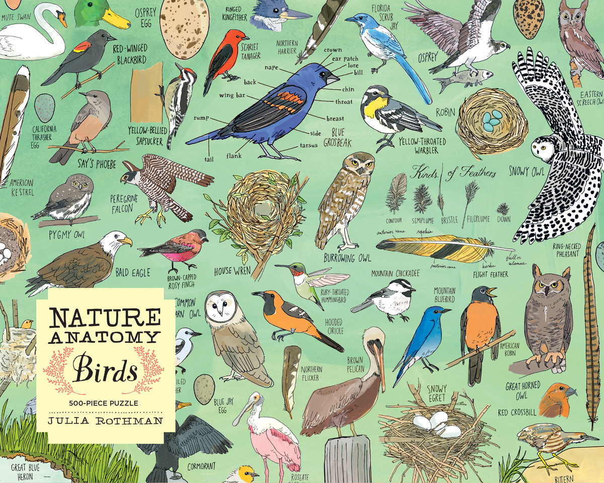 Nature Anatomy: Birds - Scratch and Dent Birds Jigsaw Puzzle