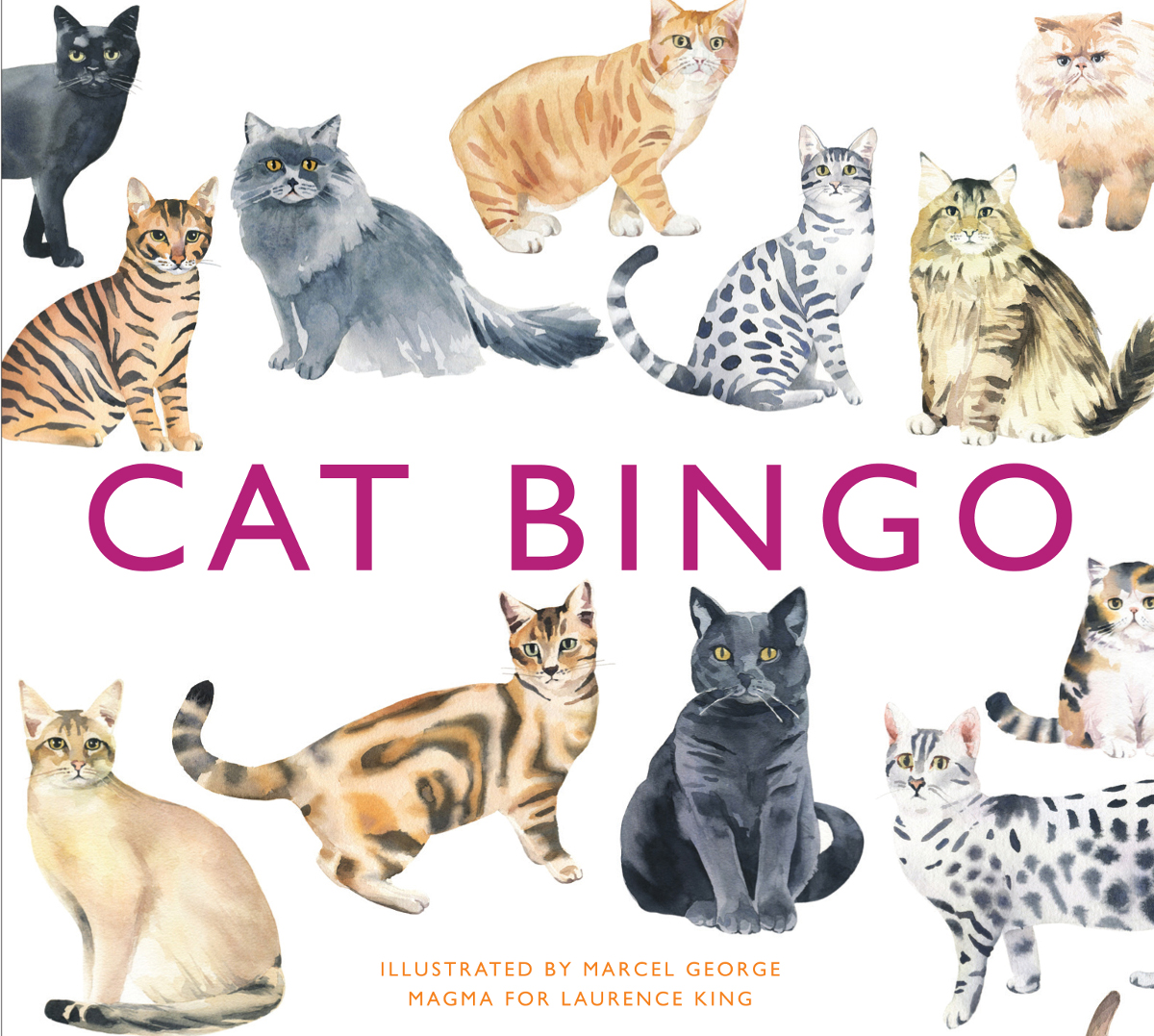 Cat Bingo - Scratch and Dent Animals