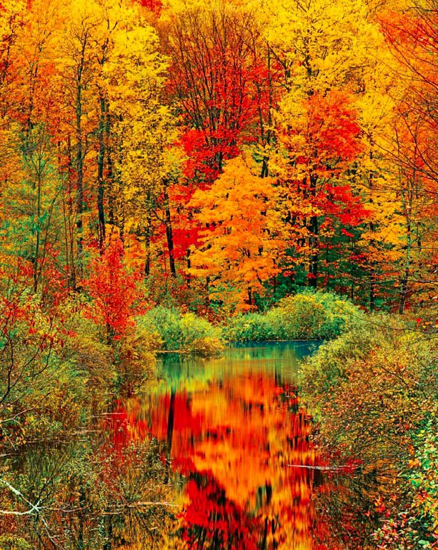 Autumn Stroll, Central Park New York Jigsaw Puzzle By Castorland