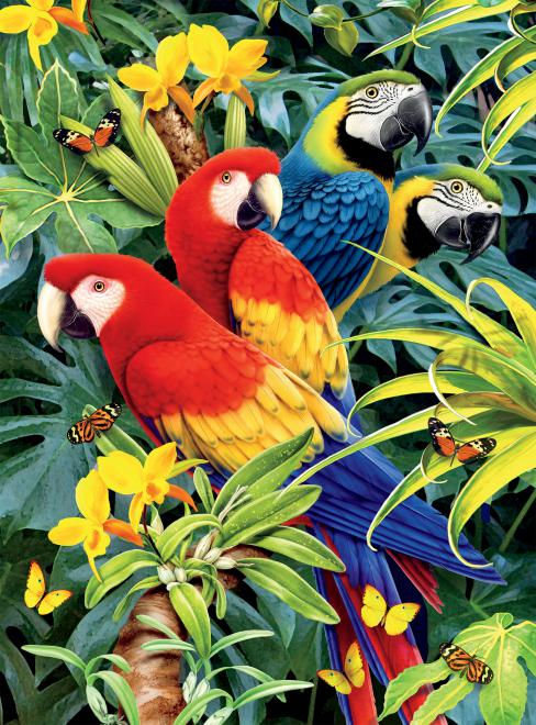 Majestic Macaws (Wild) - Scratch and Dent Birds Jigsaw Puzzle