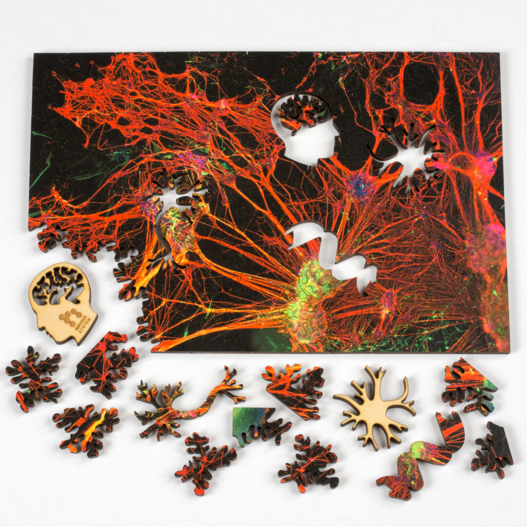 I Know You Can Abstract Jigsaw Puzzle By Heye
