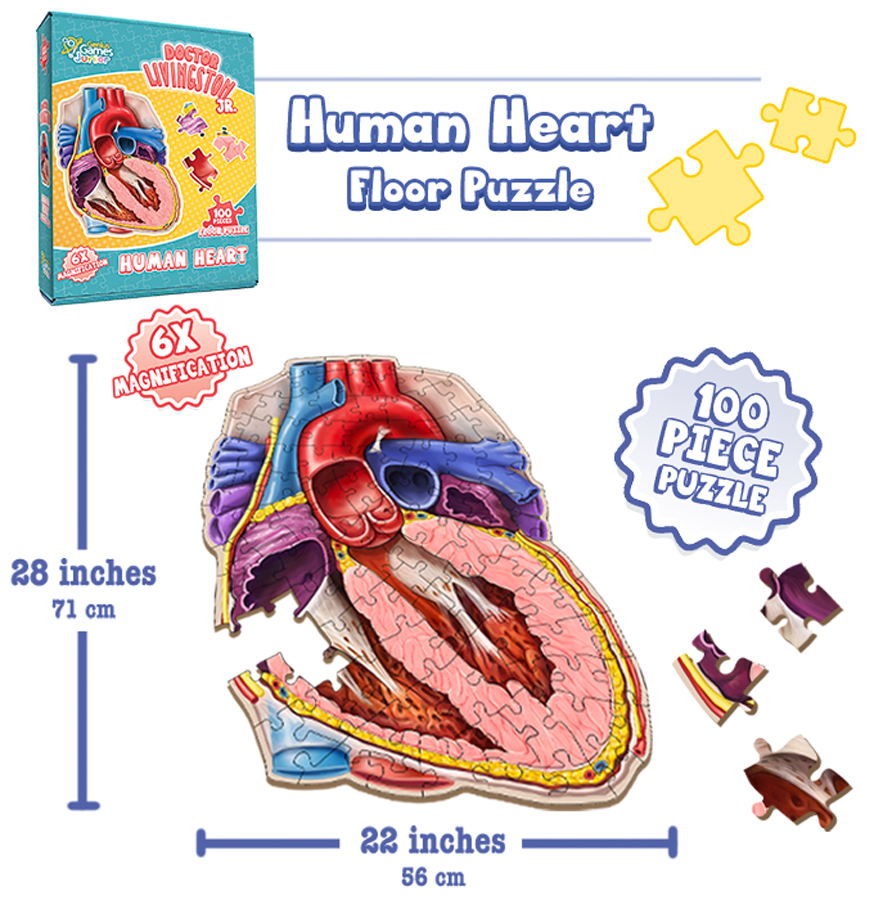 Dr. Livingston Jr. Human Heart Floor Puzzle, 100 Pieces, Genius Games ...