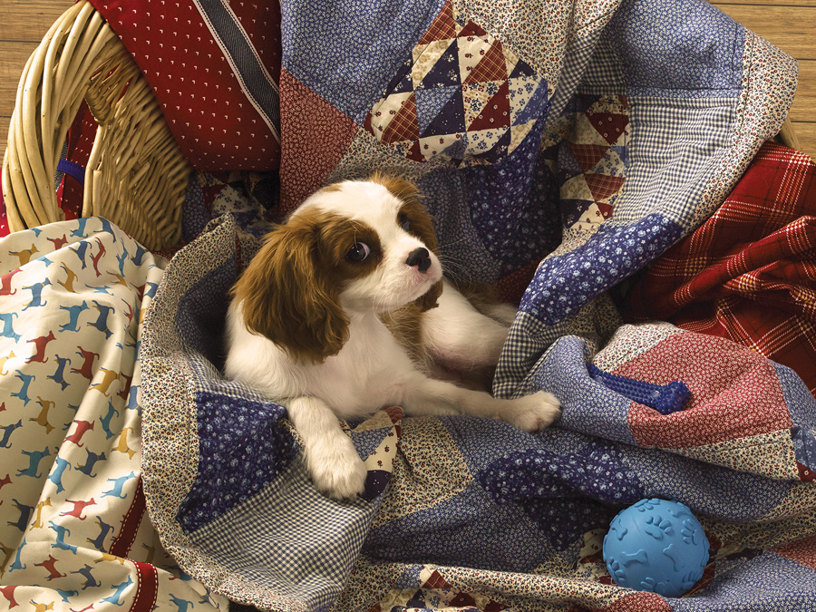 Puppy Basket Dogs Jigsaw Puzzle By Pierre Belvedere