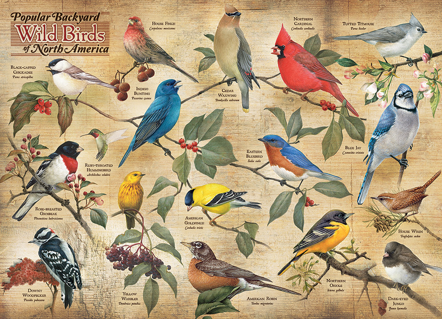 Popular Backyard Wild Birds of N.A. - Scratch and Dent Birds Jigsaw Puzzle