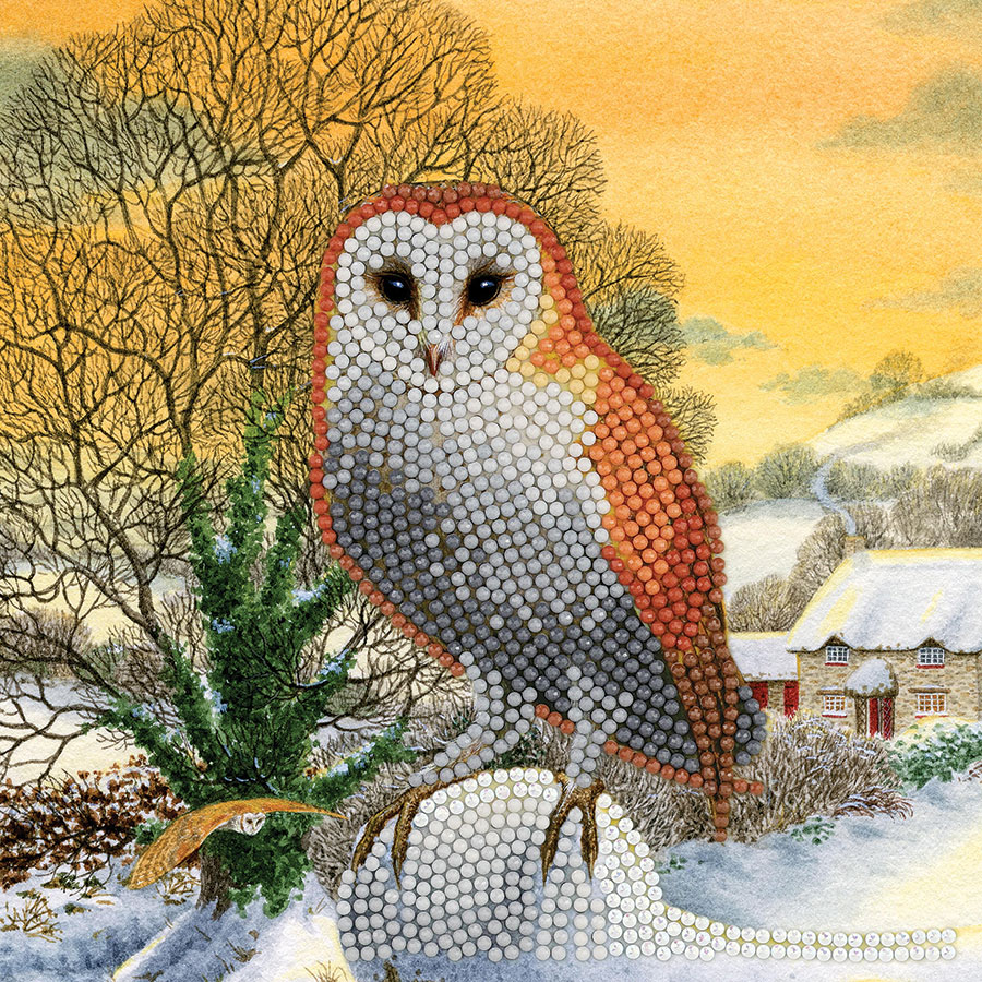 Winter Owl Crystal Art Card Kit