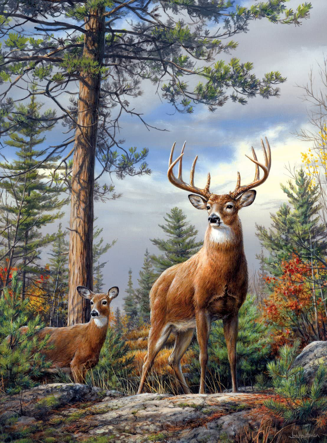 Standing Proud Forest Animal Jigsaw Puzzle
