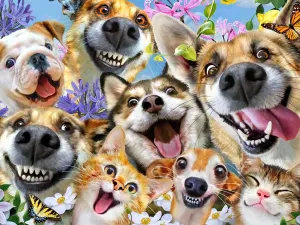 Companion Selfies Dogs By Ceaco