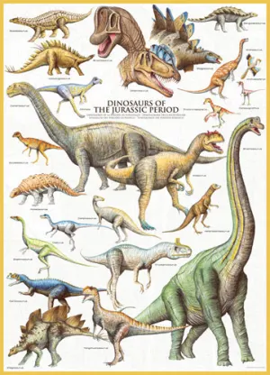 Dinosaurs Jurassic Pattern & Geometric By Eurographics