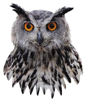 I AM Owl Birds By Madd Capp Games & Puzzles