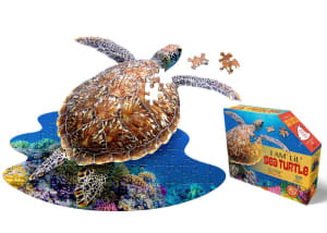 I Am Lil' Sea Turtle Reptile & Amphibian By Madd Capp Games & Puzzles