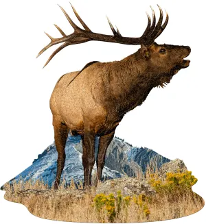 I AM ELK Animals By Madd Capp Games & Puzzles
