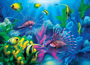 Lions of the Sea Fish By Springbok
