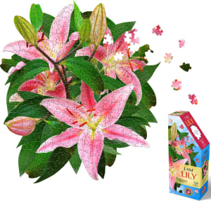 I Am Lily Flower & Garden By Madd Capp Games & Puzzles